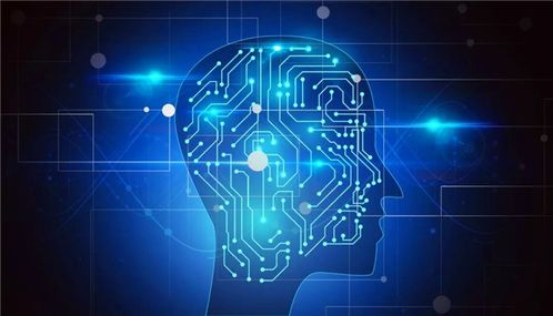 教育部支持七專業 計算機軟件技術開發能否成為熱門？